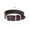 dog collar 1.5inch width - latigo