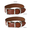 dog collar 1.5inch width - whisky