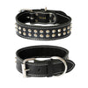 studded dog collar 1.5inch width - black